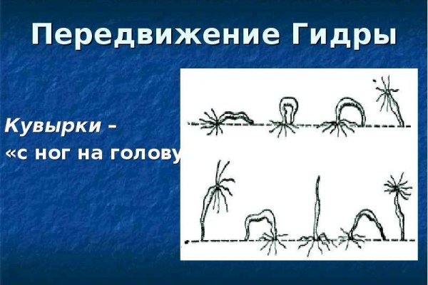 Kraken магазин