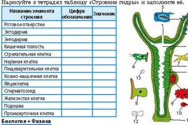 Сайт кракен kraken
