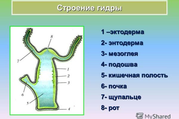 Кракен 15at